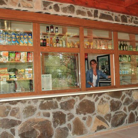 Matra Kemping Apartmanok ماترافوريد المظهر الخارجي الصورة